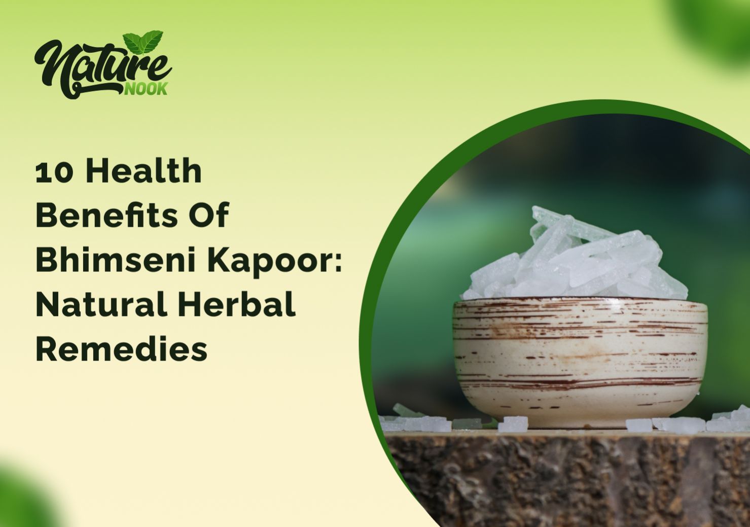 10 Health Benefits of Bhimseni Kapoor: Natural Herbal Remedies