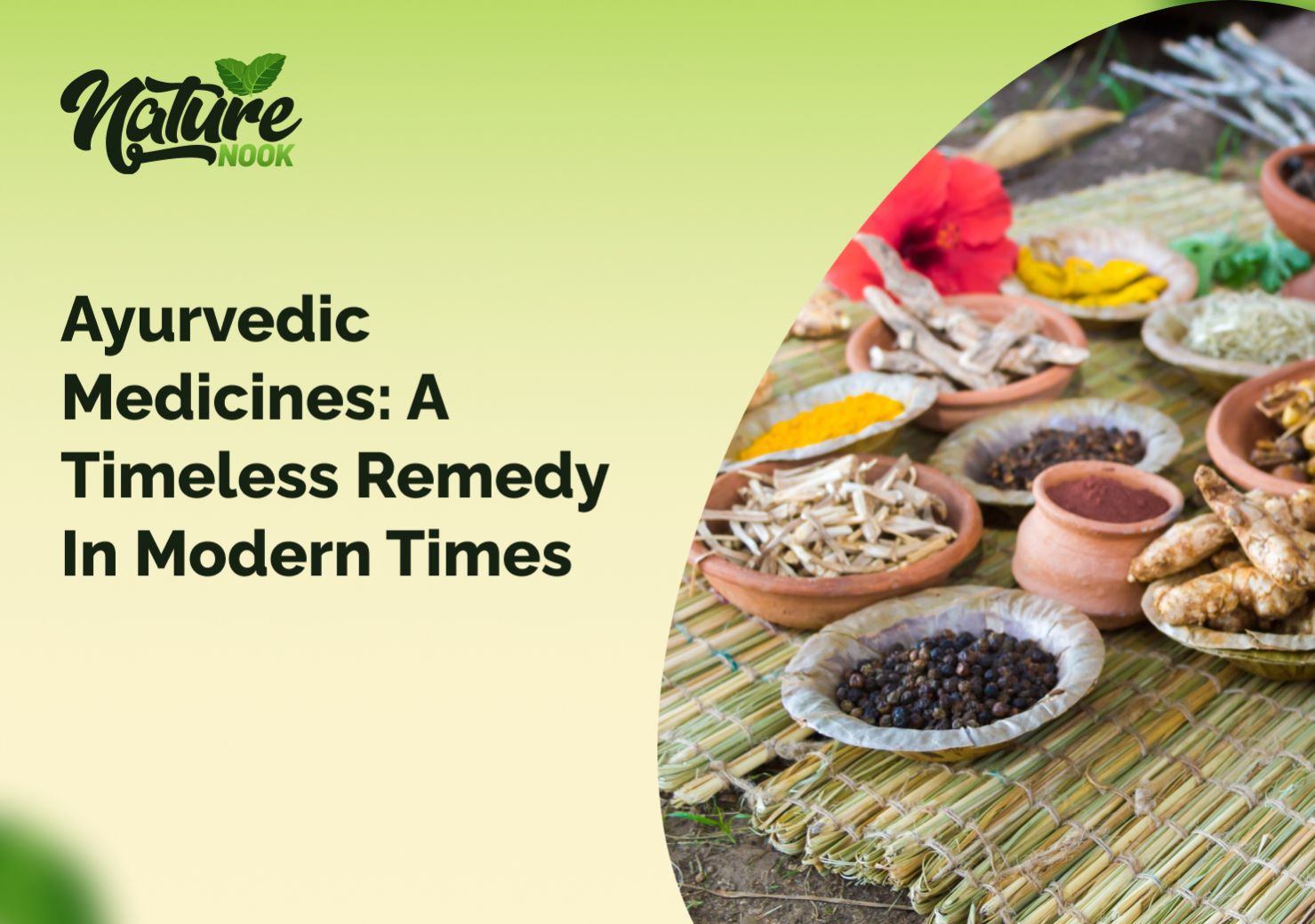 Ayurvedic Medicines - A Timeless Remedy in 2025