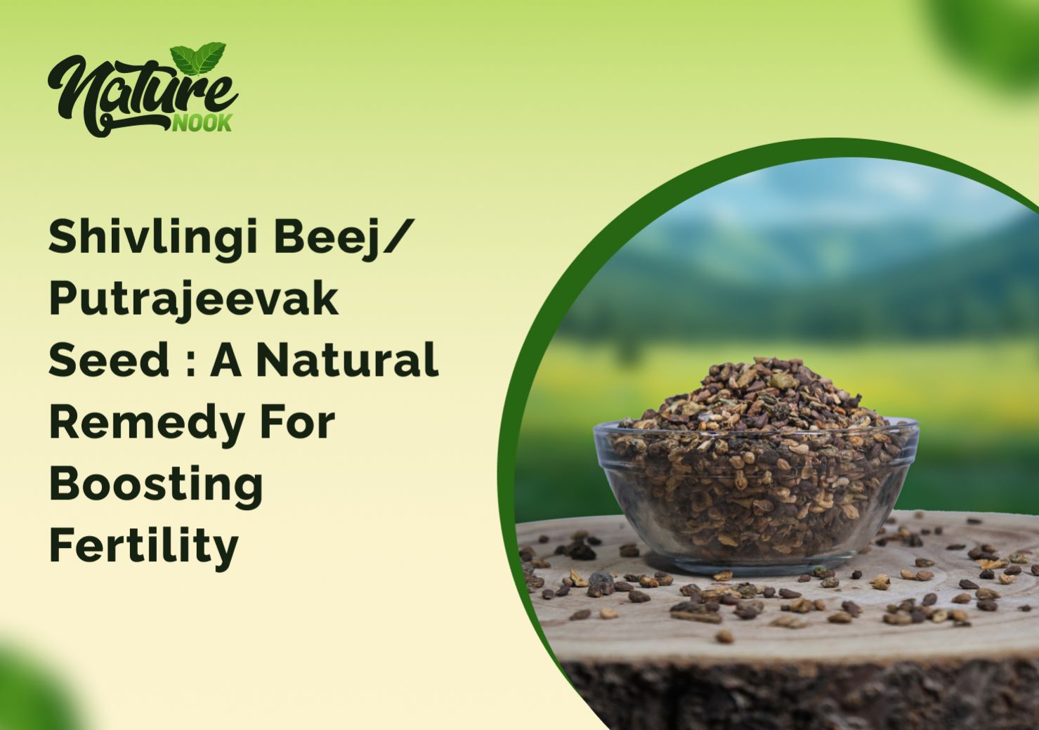 Shivlingi Beej / Putrajeevak Seed : A Natural Remedy for Boosting Fertility