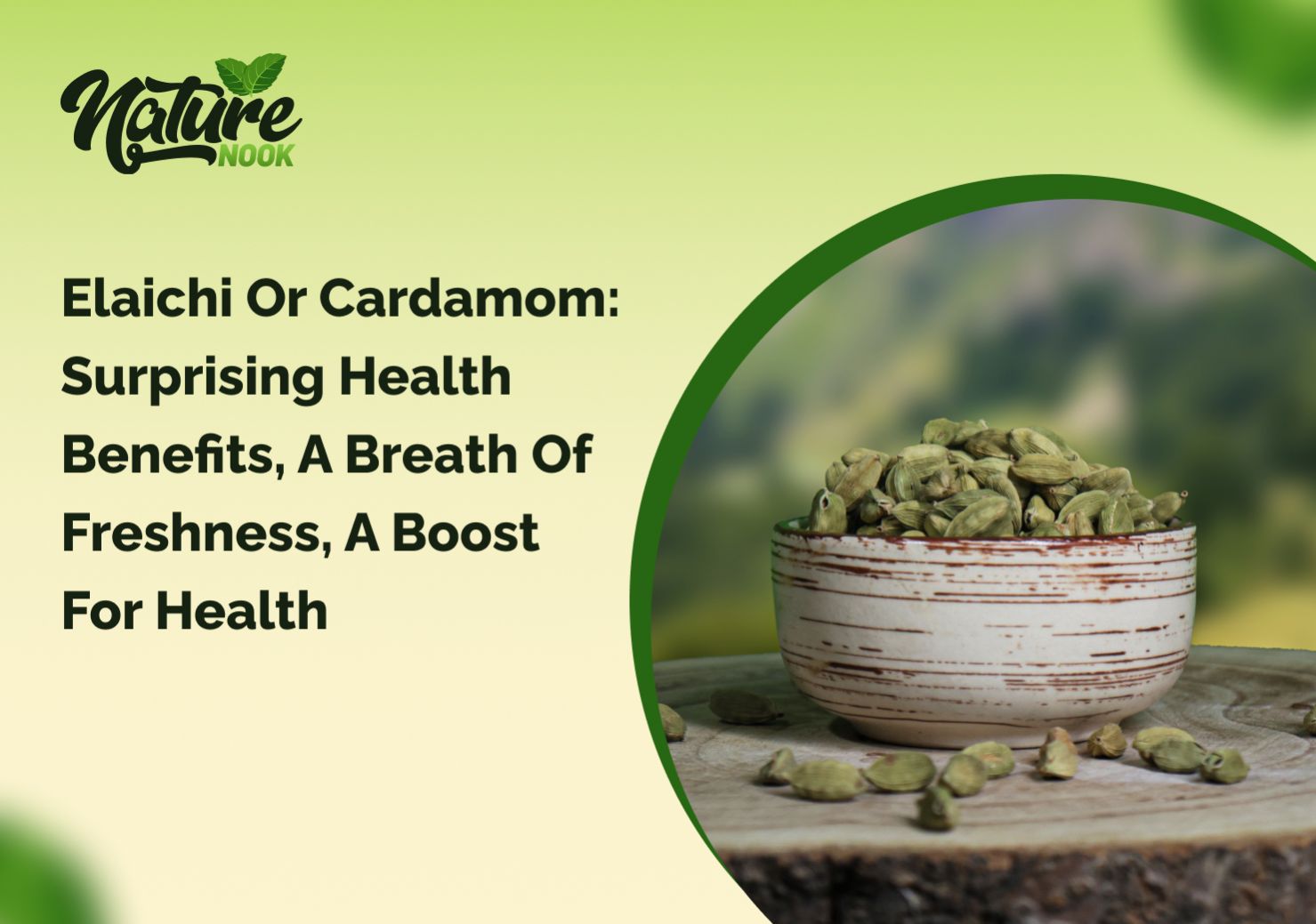 Elaichi or Cardamom: Surprising Health Benefits, A Breath of Freshness, A Boost for Health