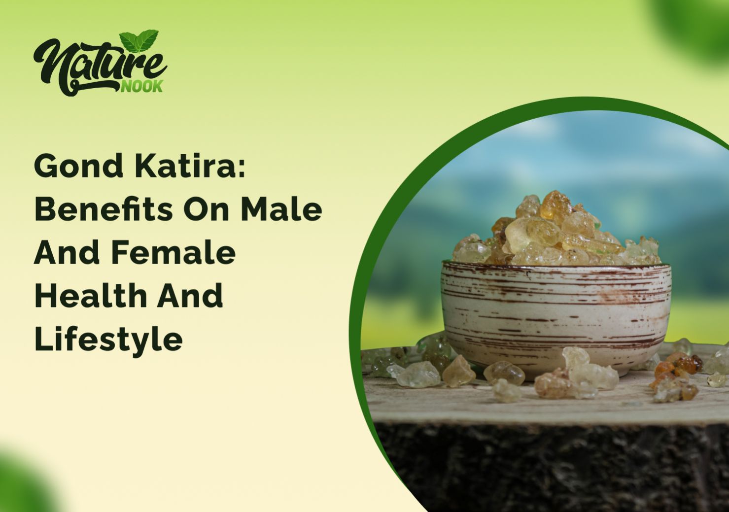 Gond Katira: Benefits on Male and Female Health and Lifestyle