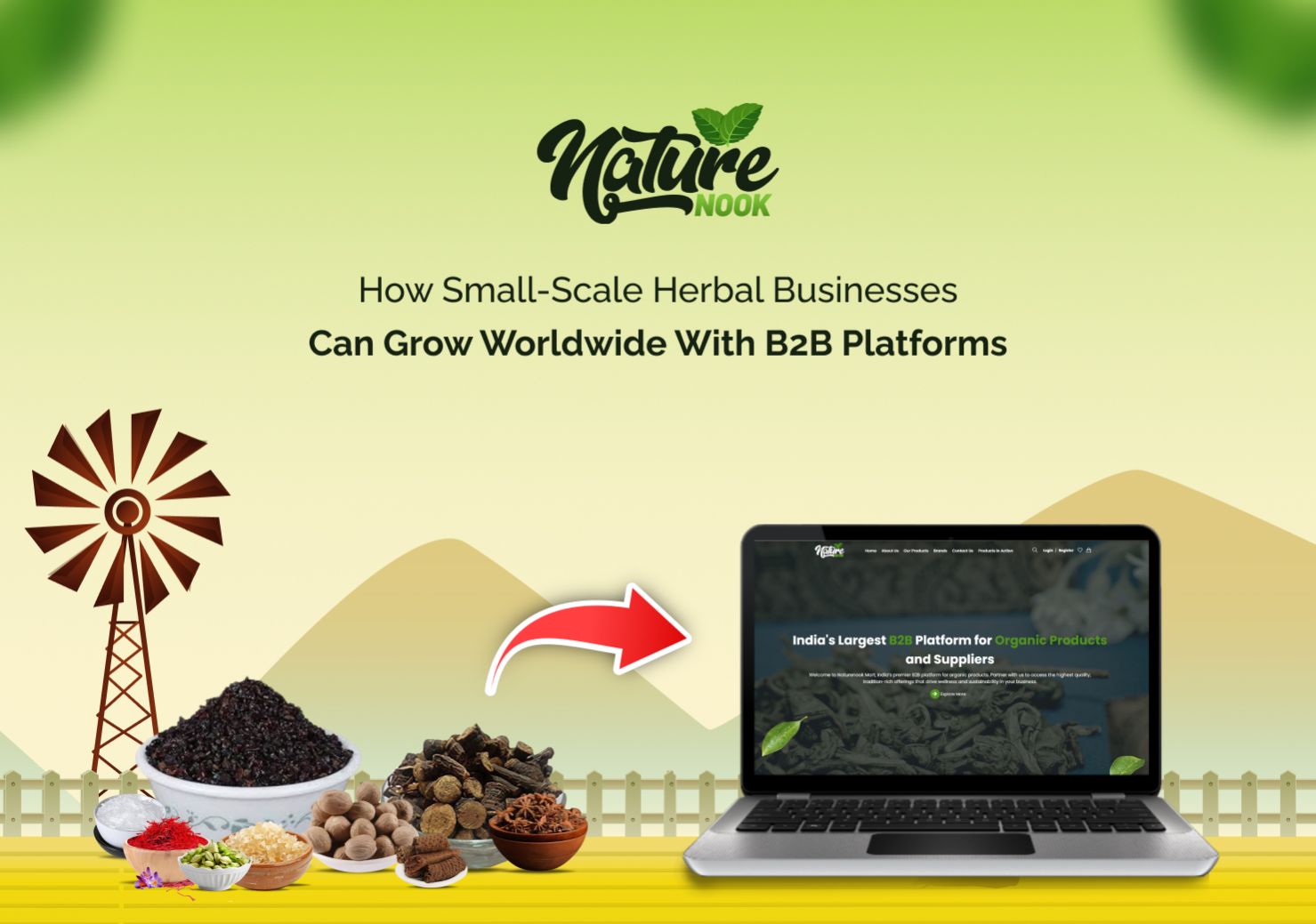 How Small-Scale Herbal E-commerce Businesses Can Grow Worldwide with B2B Platforms